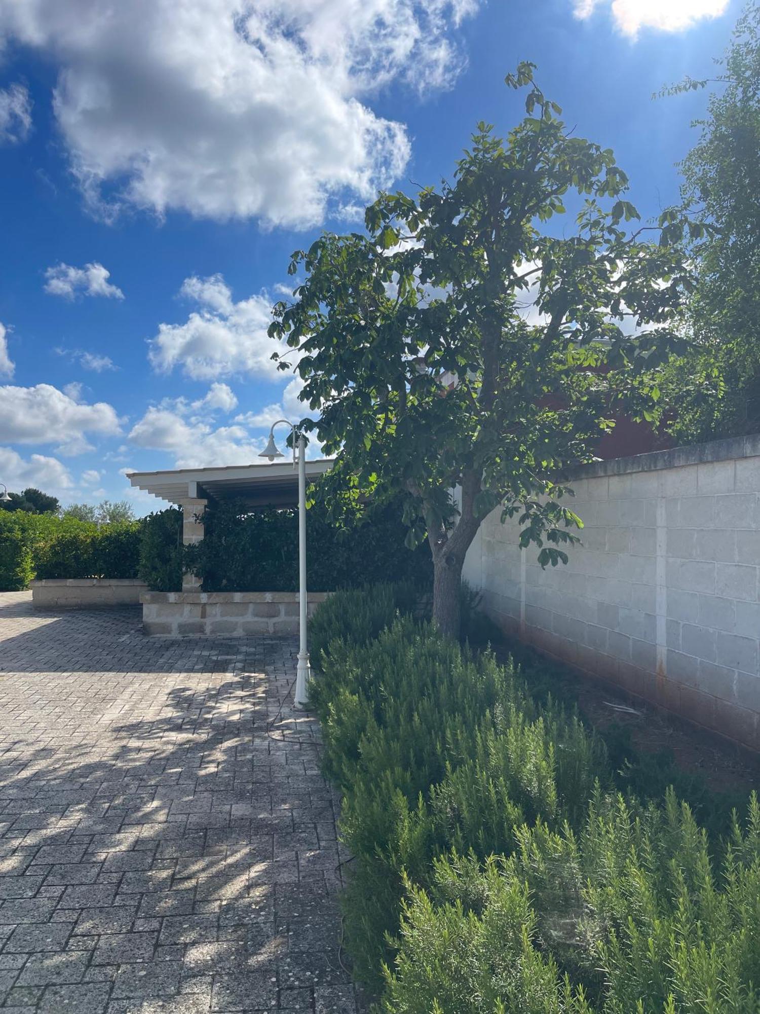 Masseria Don Bonifacio Castellana Grotte Exterior photo