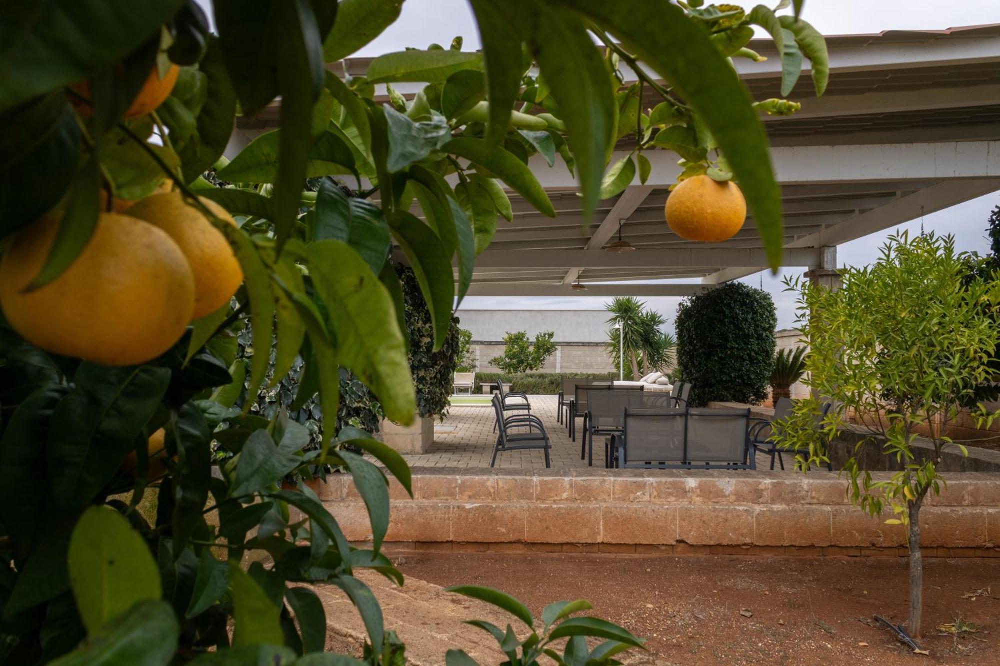 Masseria Don Bonifacio Castellana Grotte Exterior photo